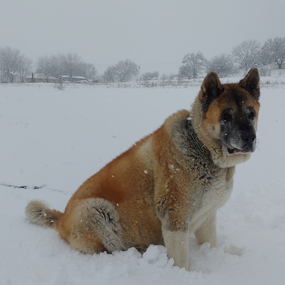 ๐ป๐Michelle๐๐ป - Picture 8 of 8